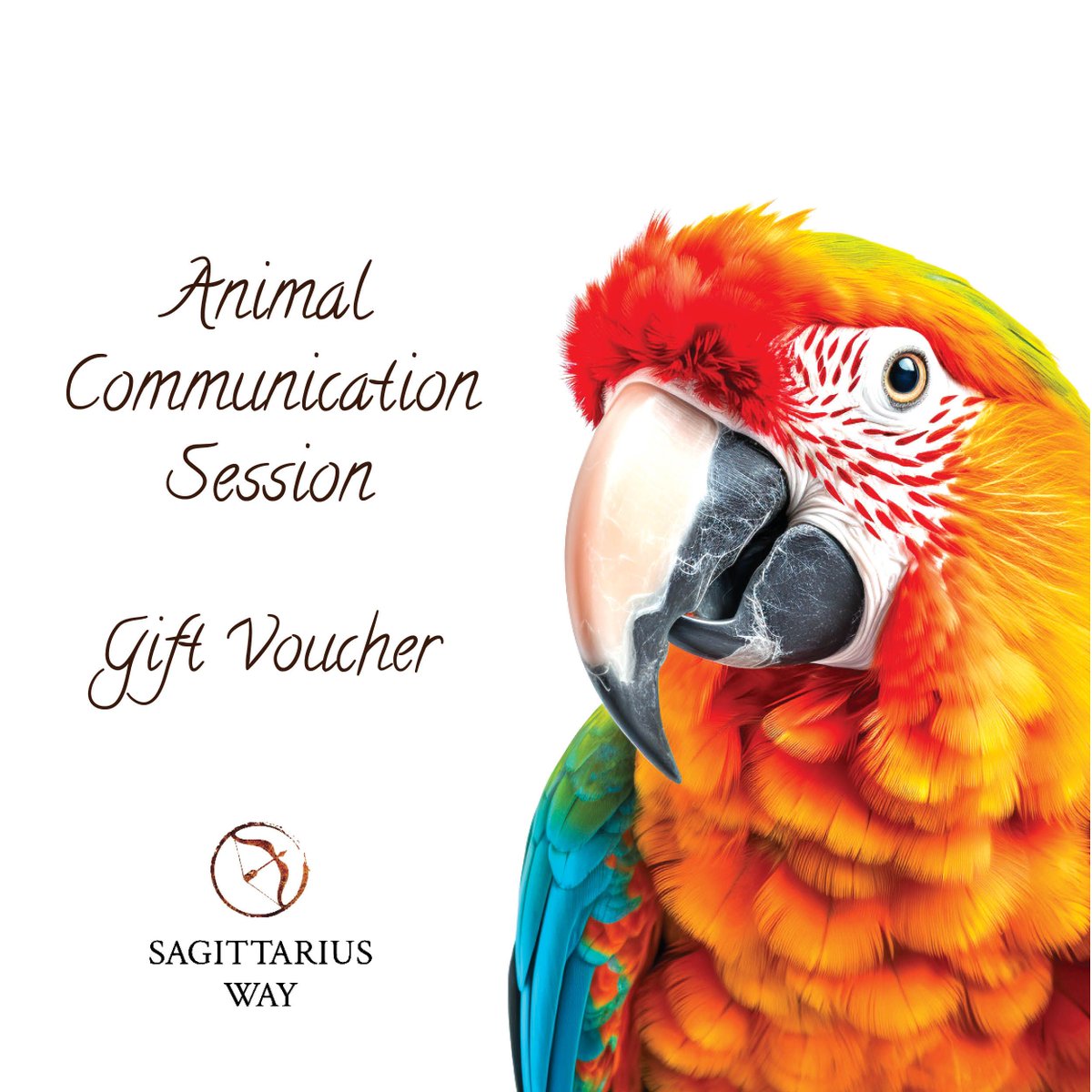 Sagittarius Way tweet media