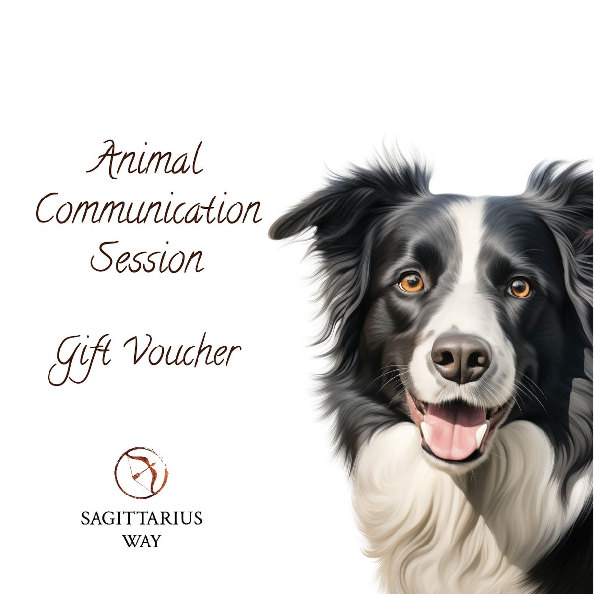 Sagittarius Way tweet media