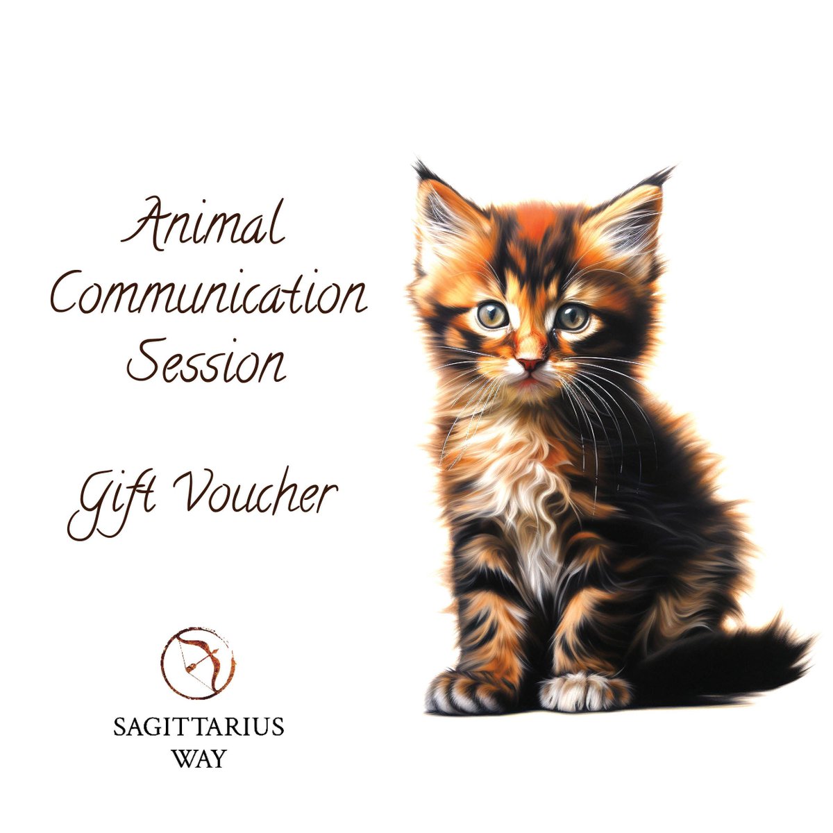 Sagittarius Way tweet media