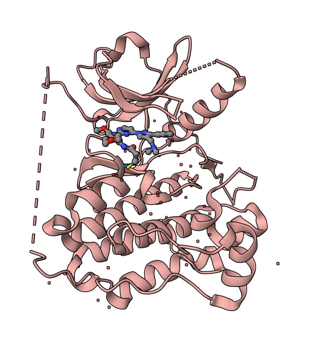 Shuchismita Dutta tweet media