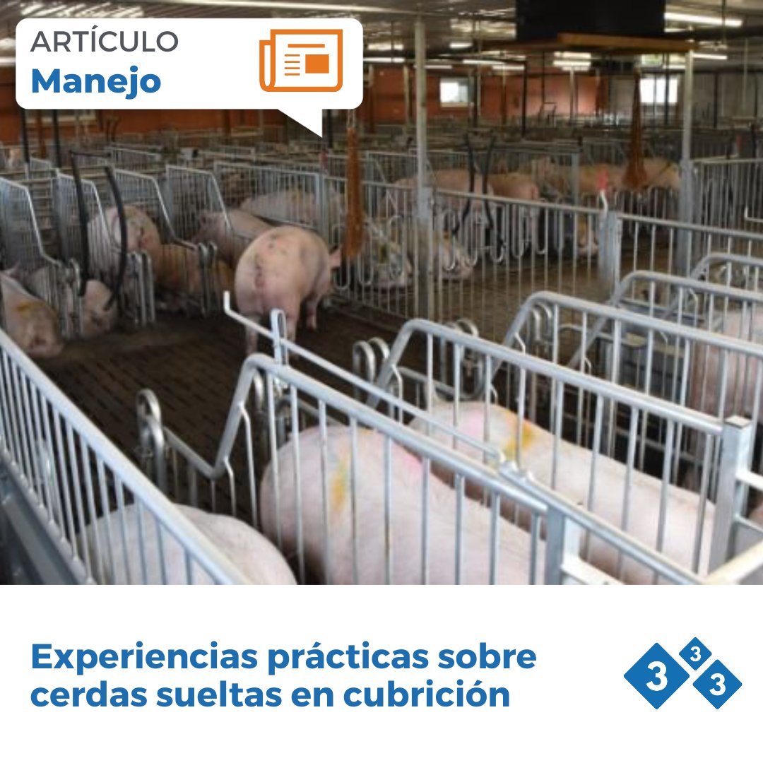 3tres3.com tweet media