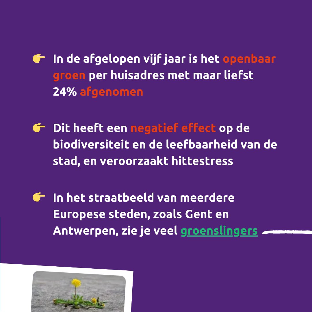 VoltRotterdam tweet media