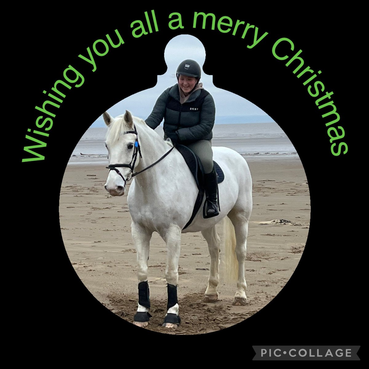 Millfield Equestrian (@millfieldriding) on Twitter photo 