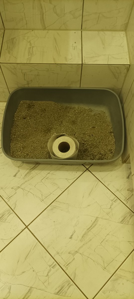 Mulitwitaminaa's tweet photo. Wracam do domu a tu taki widok. 
A wasze koty co? Nadal się nie podcierają po dwójce https://t.co/OL522YsU63