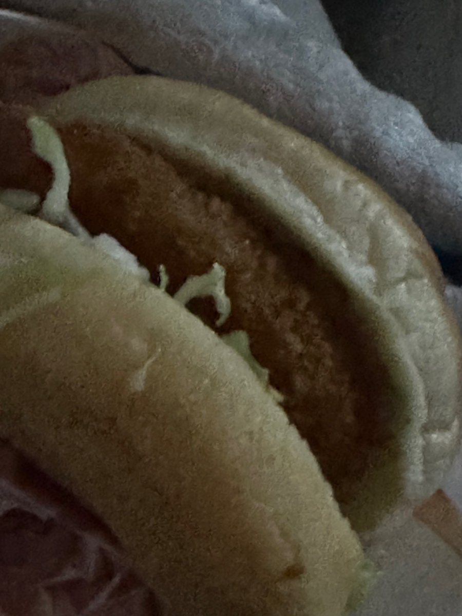 letsgini's tweet image. 하루짱이 이시간에햄부기사진보낸대서초예민상태엿는데
..아니식욕감퇴샷이 수준급임