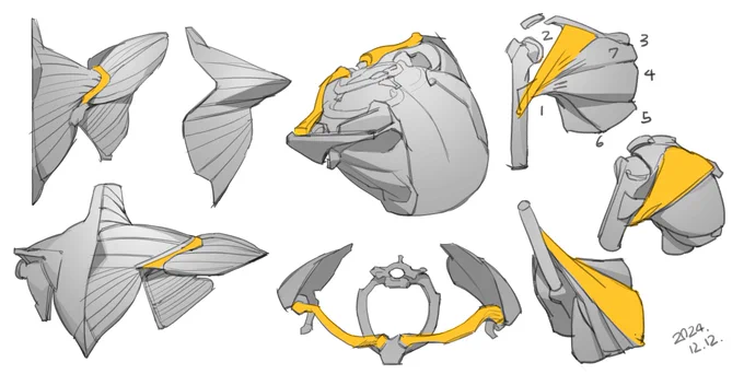 Today's study - !! ! 