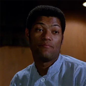 Michelle Jeans tweet media