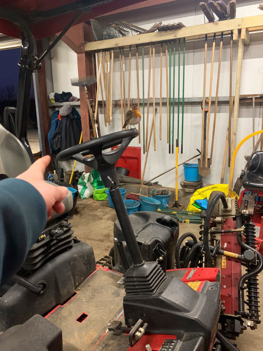 Steven🤟🏻 tweet media