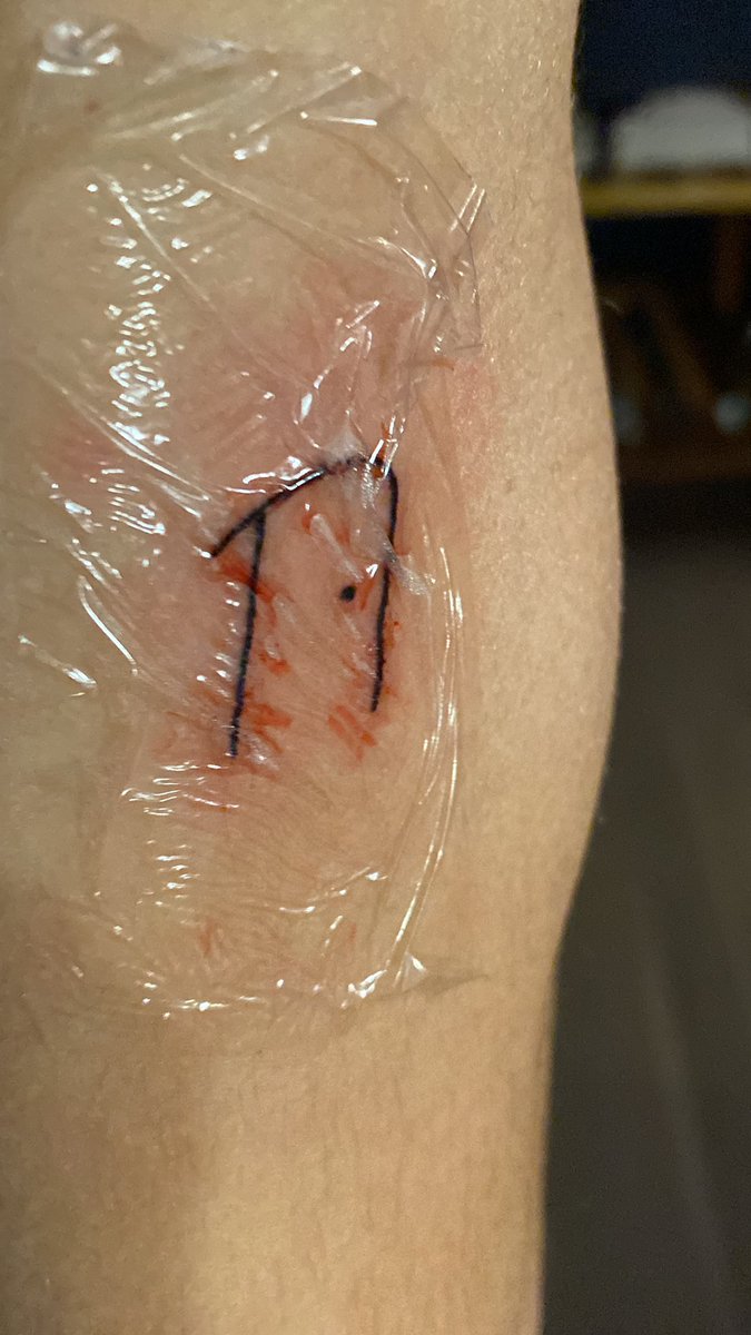 Elyon actu tweet media