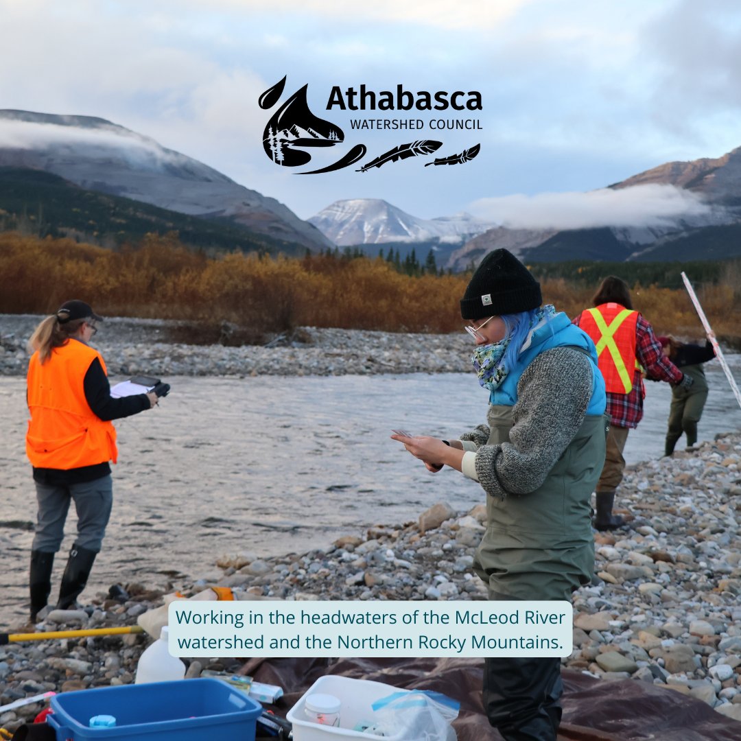 Happy #InternationalMountainDay! The headwaters of the Athabasca are in the mountains, and staff always appreciate a chance to get out sampling for our upper McLeod biomonitoring project. Learn more at awc-wpac.ca/projects/