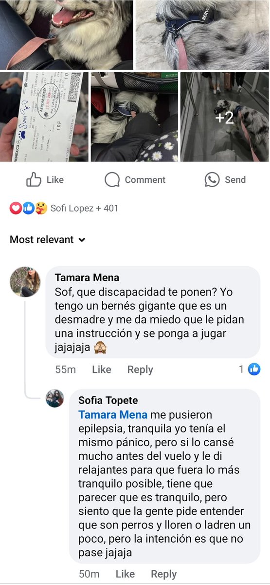 AmasMexico's tweet photo. @Chicago_Police mexican girl travels to Chicago with FAKE SERVICE DOG DOCUMENTS that she paid $100 USD to get a fake medical letter and fake ID so she could fly with her dog from Mexico with @Aeromexico. 
#fakeservicedogs @Department404 @USDOT
@Interpol @AICM_mx @BBCWorld https://t.co/VyZQQ35VcS