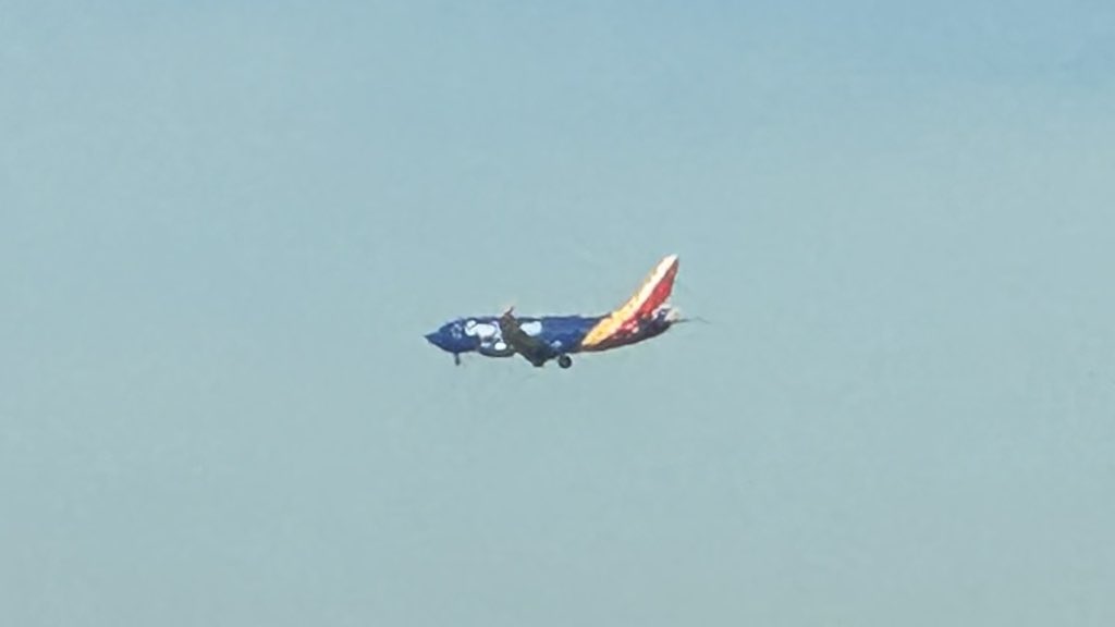 robnashman's tweet image. @SouthwestAir #SWAPics DAL —&amp;gt; ELP