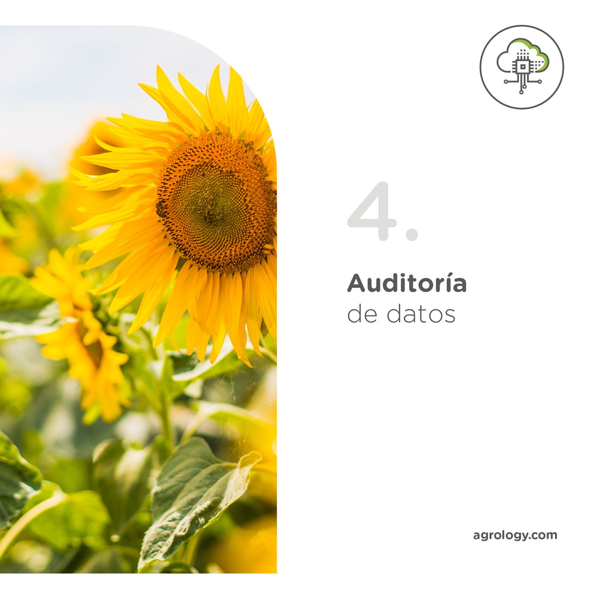 ¡Te invitamos a repasar las novedades y herramientas más utilizadas de <a href="/agrologyagro/">@agrologyagro</a> en este 2024!👇 

Accedé a todas ellas en nuestra web agrology.com