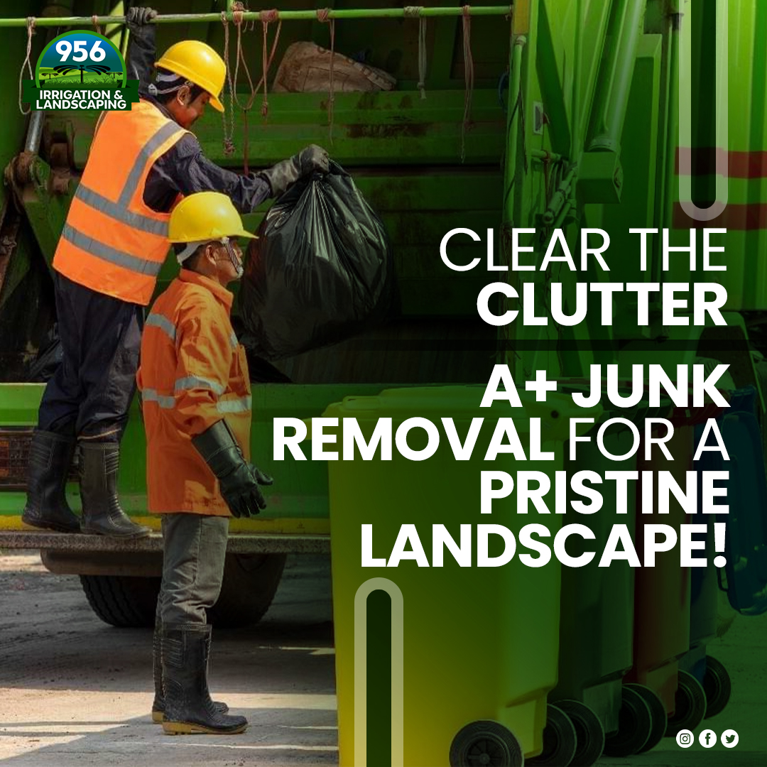 956Irrigation's tweet photo. Keep your yard clean and clutter-free with our junk removal service. We handle the heavy lifting to make sure your outdoor area stays neat and organized.

𝐖𝐞𝐛: https://t.co/8tT1O2I5HU
𝐏𝐡: (956) 222-8866

#landscape #lawncare #lawn #garden #gardening #garden https://t.co/R9RU49OFDB
