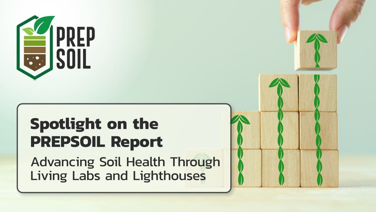 Did you know that PREPSOIL created a #Soil #Taxonomy of #MissionSoil #LivingLabs &amp; Lighthouses? Check the report &amp; know tools to classify, guide &amp; empower #LLs &amp; LHs across🇪🇺 to improve collaboration and knowledge exchange with #soilhealth. Click here😊prepsoil.eu/news/spotlight…
