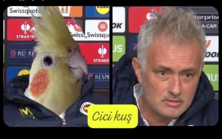 ilker (@minilk) on Twitter photo 