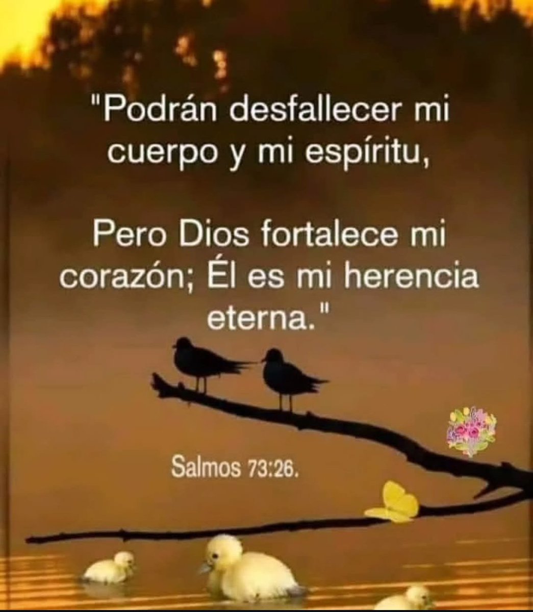 Julissa10014645's tweet photo. AMÉN 🙏 https://t.co/1Tz4B2pE9l