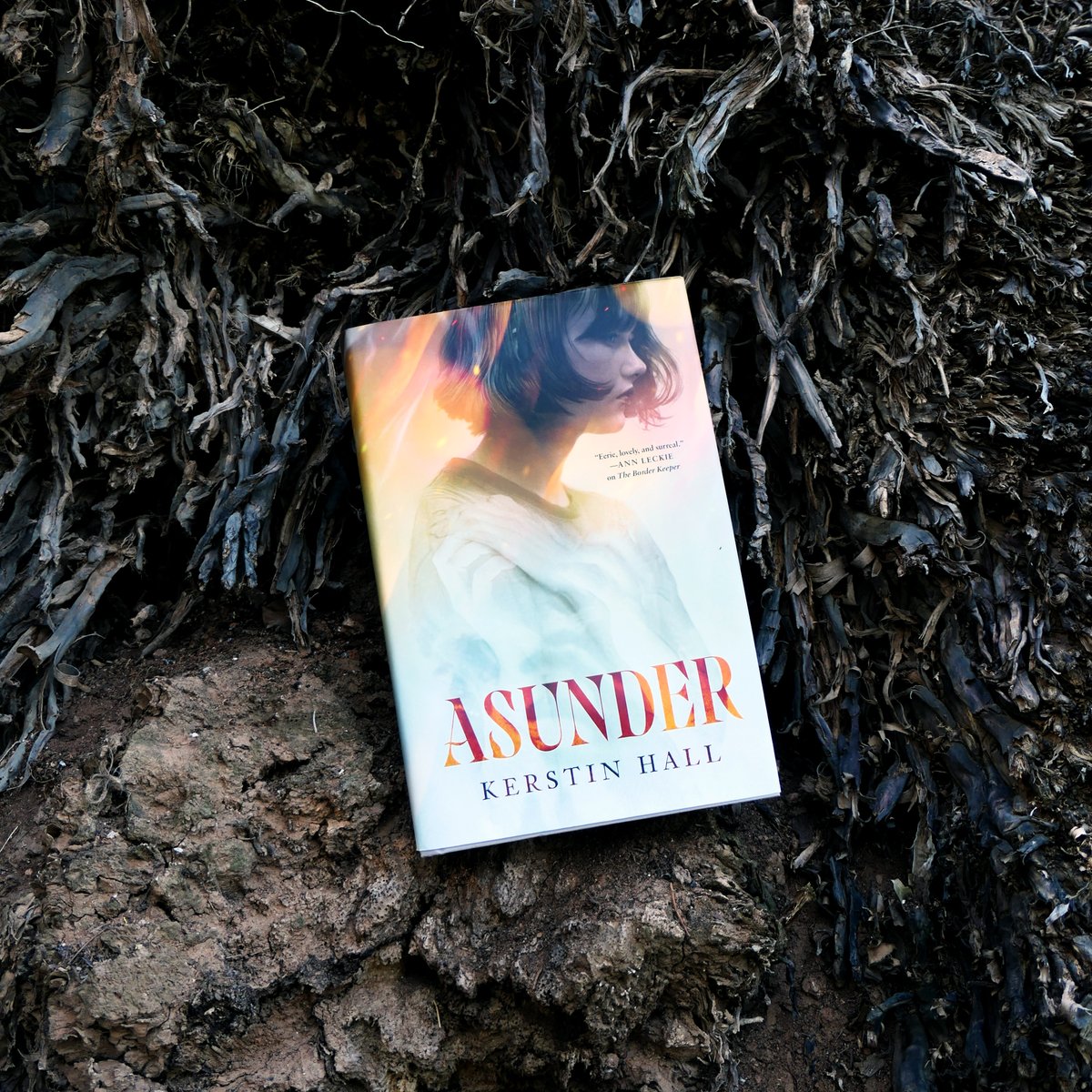 "Read this book. Let its deliciously dark world envelop you. Fall in love with its complicated, wounded, winsome characters. Feel every last feeling. You'll thank me later." — Veronica Roth on Asunder by <a href="/Kerstin__Hall/">Kerstin Hall (Updates Only)</a> 🔥

us.macmillan.com/books/97812506…