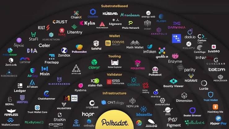 BitImmortal's tweet photo. Over 200 projects have utilized @Polkadot SDK to build blockchain solutions - $DOT 🔥 https://t.co/nobQ34NHHj