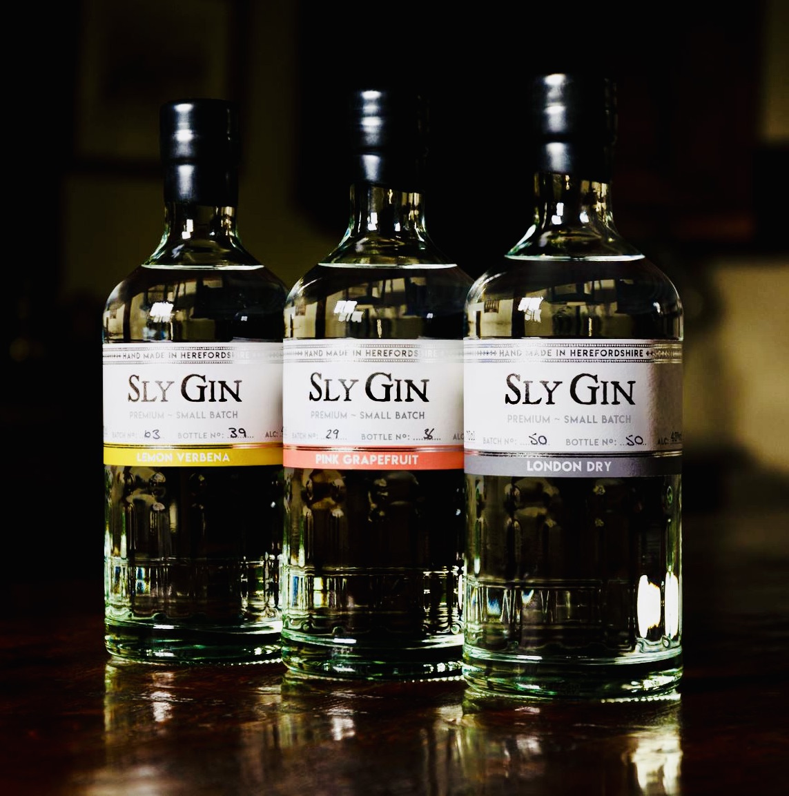 Sly Gin (@Sly_Gin) / Posts / X