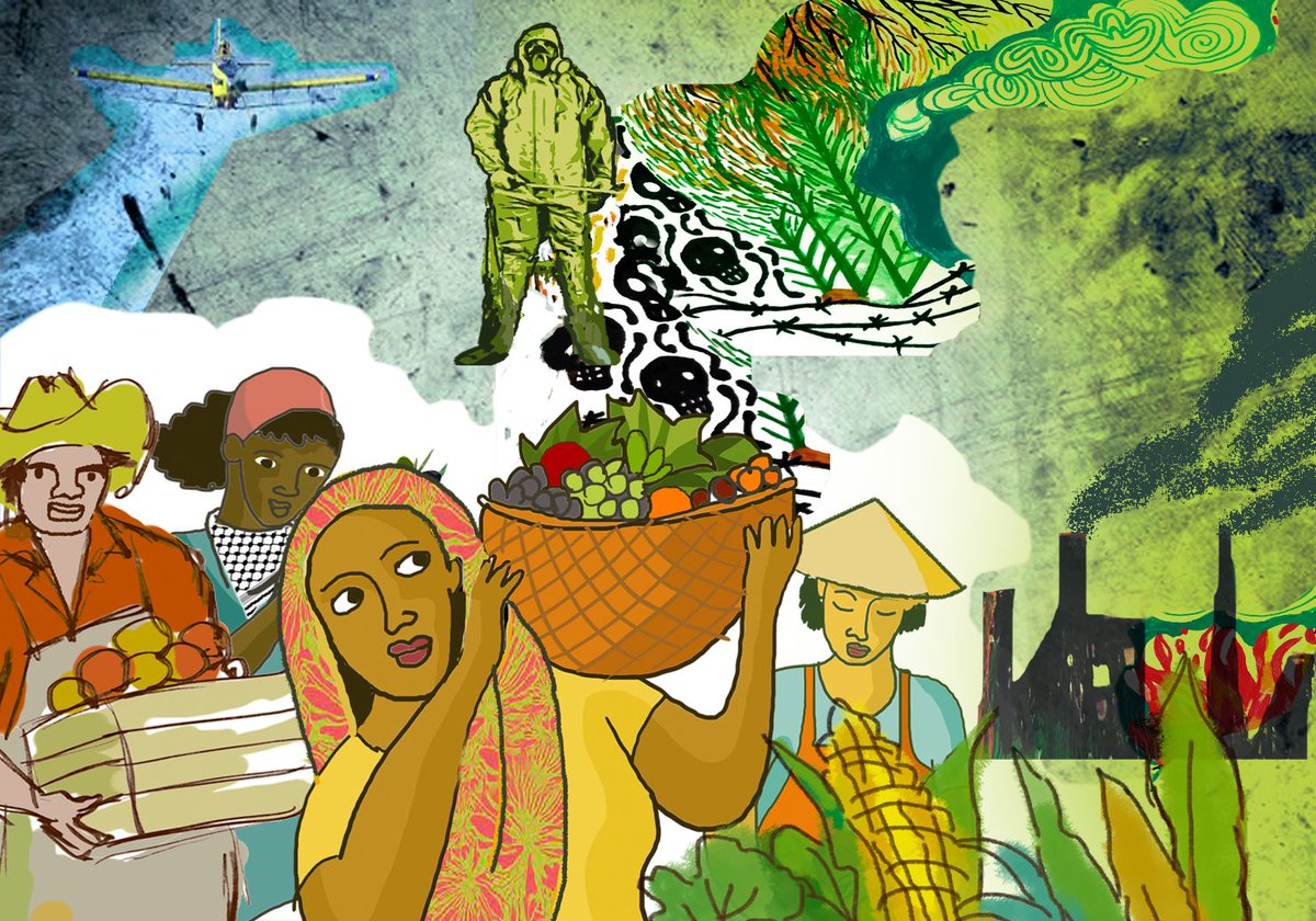 GRAIN (@grain_org) on Twitter photo Continua la campaña contra los #agrotóxicos de <a href="/via_campesina/">La Via Campesina (Official EN)</a>. En los últimos años, el uso en el mundo fue de 3,54 millones de toneladas, el doble respecto a 1990 viacampesina.org/es/03-dic-la-a… <a href="/Semillas2/">Grupo Semillas</a> <a href="/FIAN_Ecuador/">FIAN Ecuador</a> Continua la campaña contra los #agrotóxicos de <a href="/via_campesina/">La Via Campesina (Official EN)</a>. En los últimos años, el uso en el mundo fue de 3,54 millones de toneladas, el doble respecto a 1990 viacampesina.org/es/03-dic-la-a… <a href="/Semillas2/">Grupo Semillas</a> <a href="/FIAN_Ecuador/">FIAN Ecuador</a>