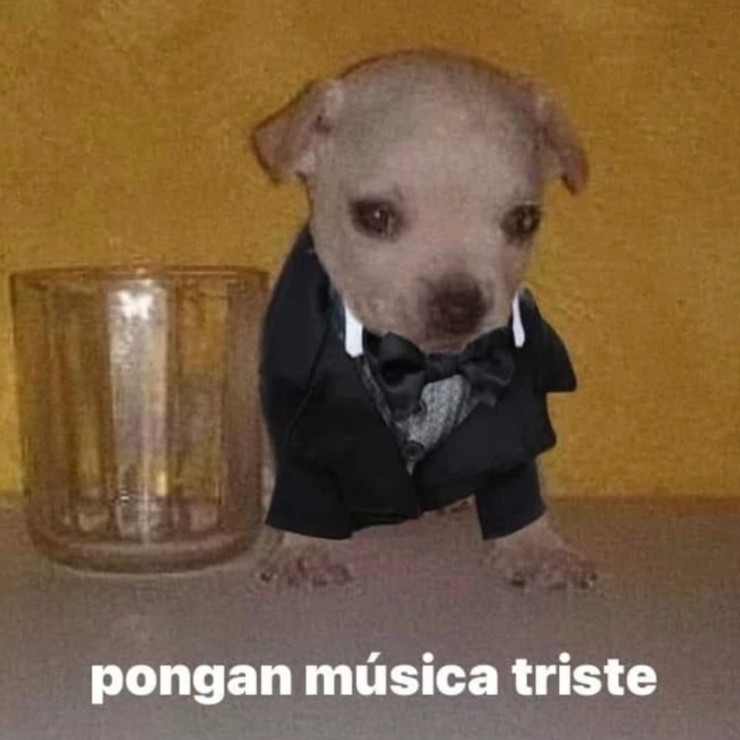 gonzoyarzabal's tweet photo. ¿Por k no me invitan a una posada?

io: https://t.co/RSNDSWTmAS