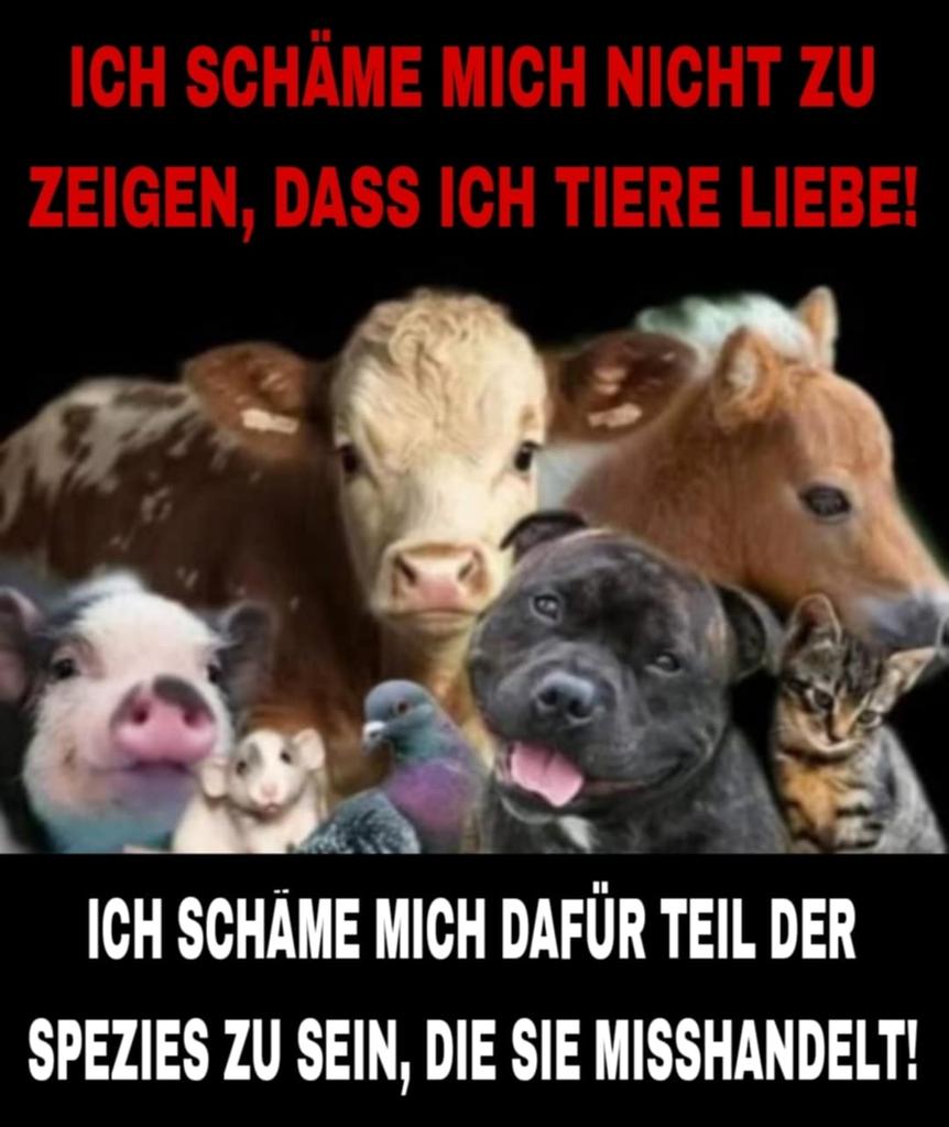 GENAU SO IST ES!!!