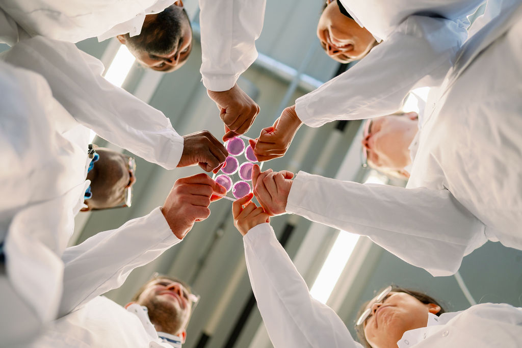 Our Research Director, Prof. Mart Saarma pursues a breakthrough in the treatment of #Parkinson’s disease with Estonian and French businesses helsinki.fi/en/innovations…
