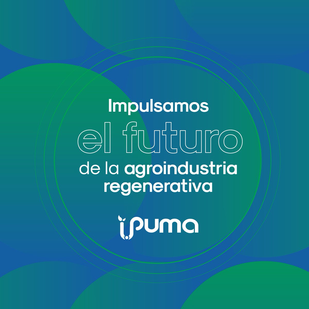 Plataforma PUMA tweet media