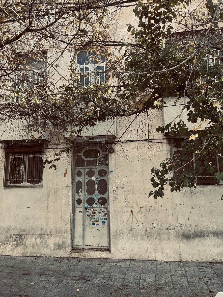 «با شِکَر و شقایق»