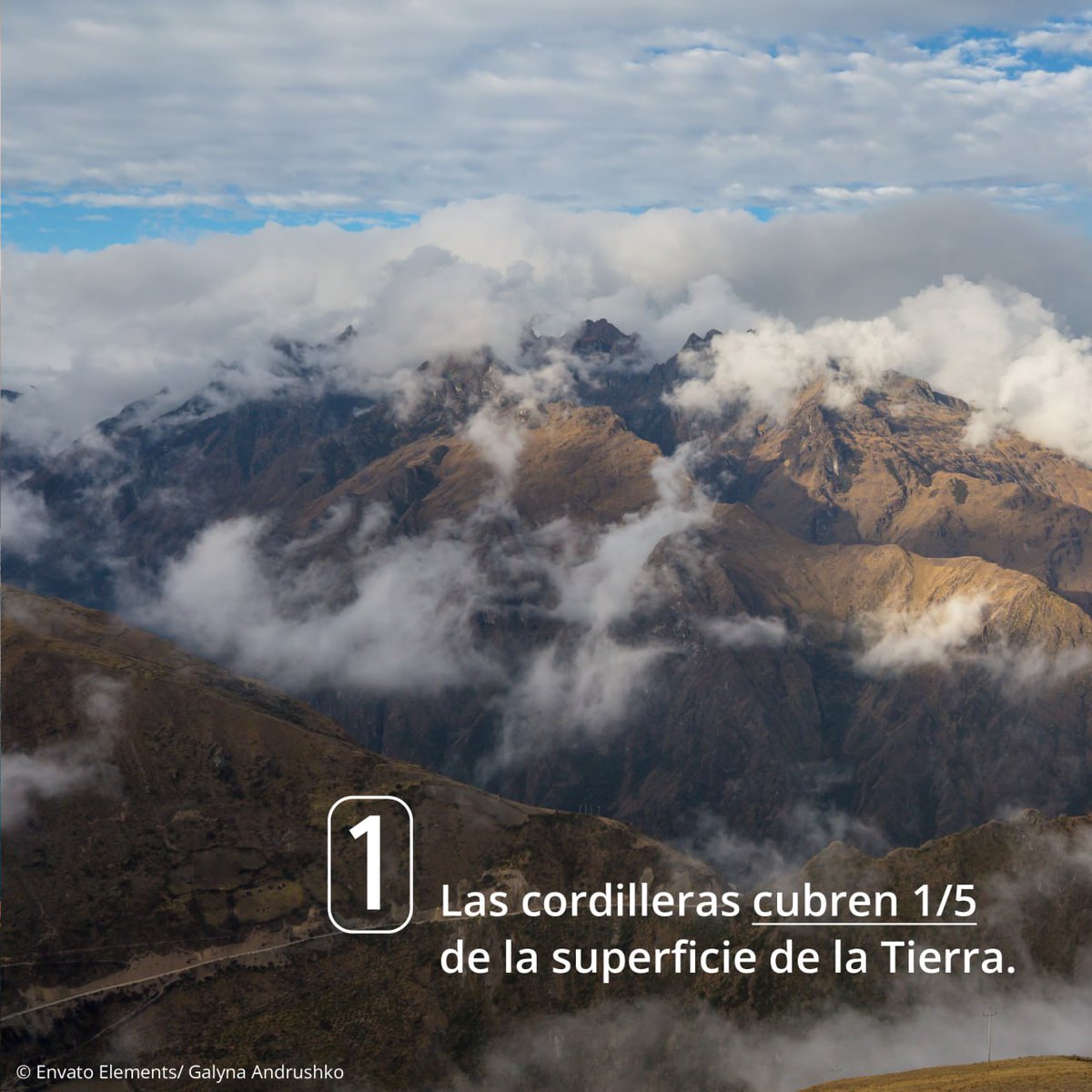 WWF_LAC's tweet photo. 1/2 ¡Hoy celebramos el Día Internacional de las Montañas!

Las montañas son verdaderas joyas naturales que debemos proteger. Estos ecosistemas únicos son hogar del 15% de la población mundial y resguardan casi la mitad de la biodiversidad del planeta.

Sigue el hilo 🧵 https://t.co/BYjOirIlVm