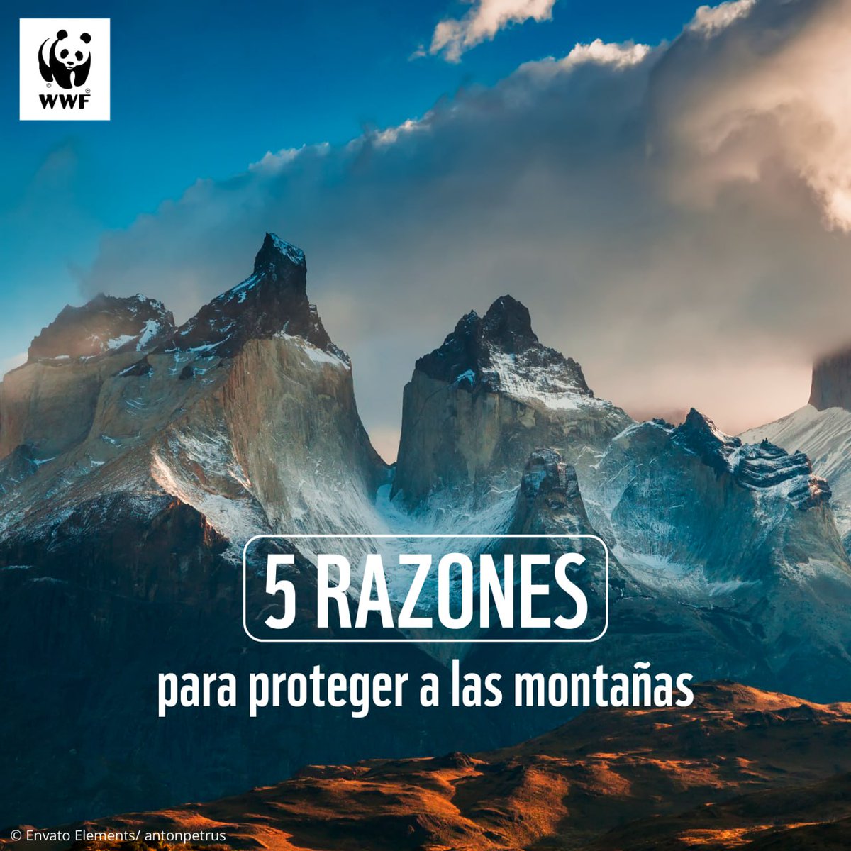 WWF_LAC's tweet photo. 1/2 ¡Hoy celebramos el Día Internacional de las Montañas!

Las montañas son verdaderas joyas naturales que debemos proteger. Estos ecosistemas únicos son hogar del 15% de la población mundial y resguardan casi la mitad de la biodiversidad del planeta.

Sigue el hilo 🧵 https://t.co/BYjOirIlVm