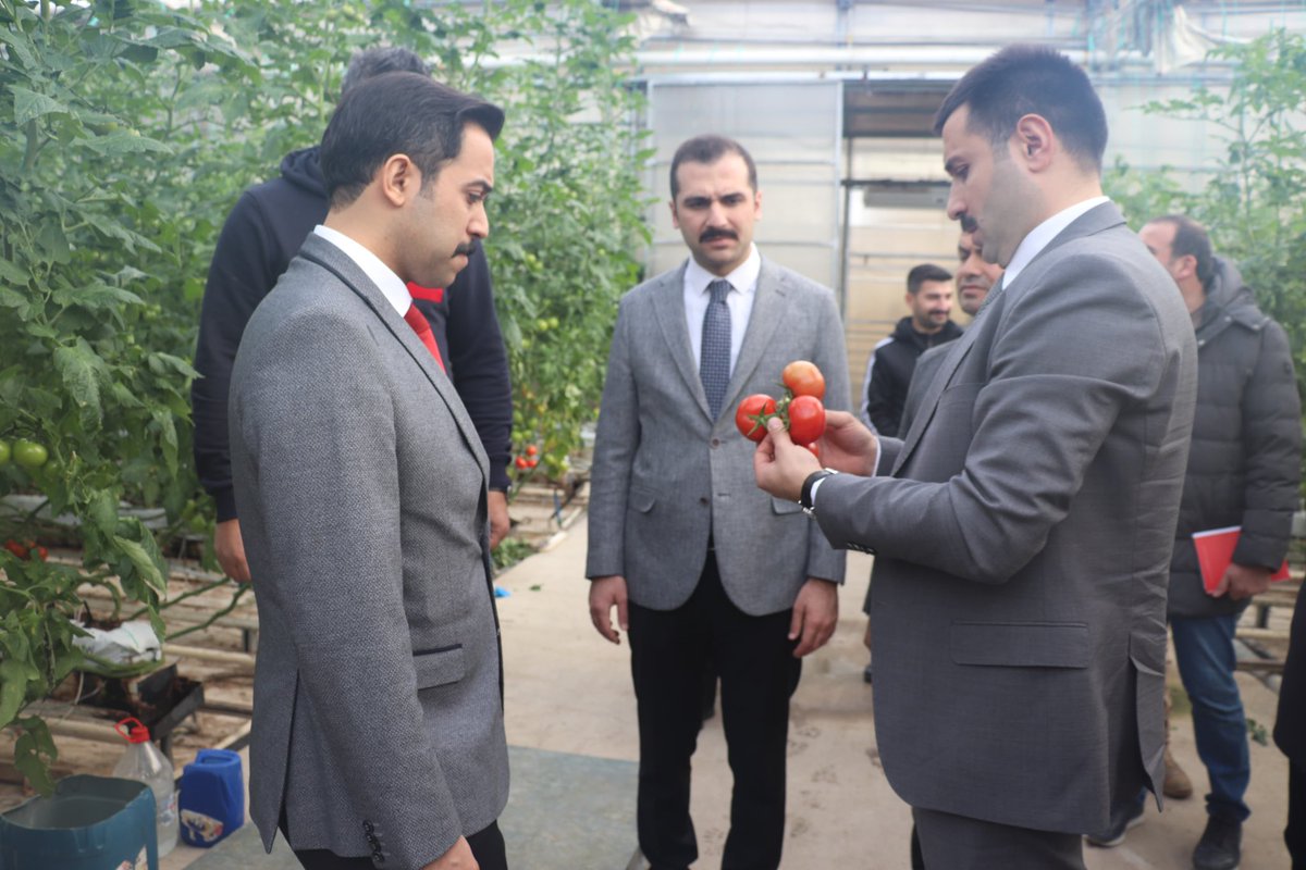 1️⃣📌Kaymakamımız Sn. Mustafa KARALİ, Bitlis Vali Yardımcısı Sn. Onur AKÇAY ve Güroymak Kaymakamı Sn. Mehmet zahid Uzun’la Birlikte Diyadin Tarıma dayalı ihtisas sera organize sanayi bölgesini ziyaret ettiler. 
📌Doğu Anadolu Bölgesi’nde ilk ve tek jeotermal kaynaklı ısınan modern
