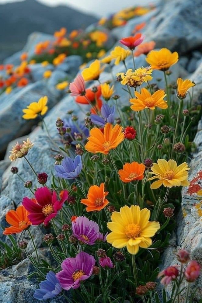 سالم tweet media