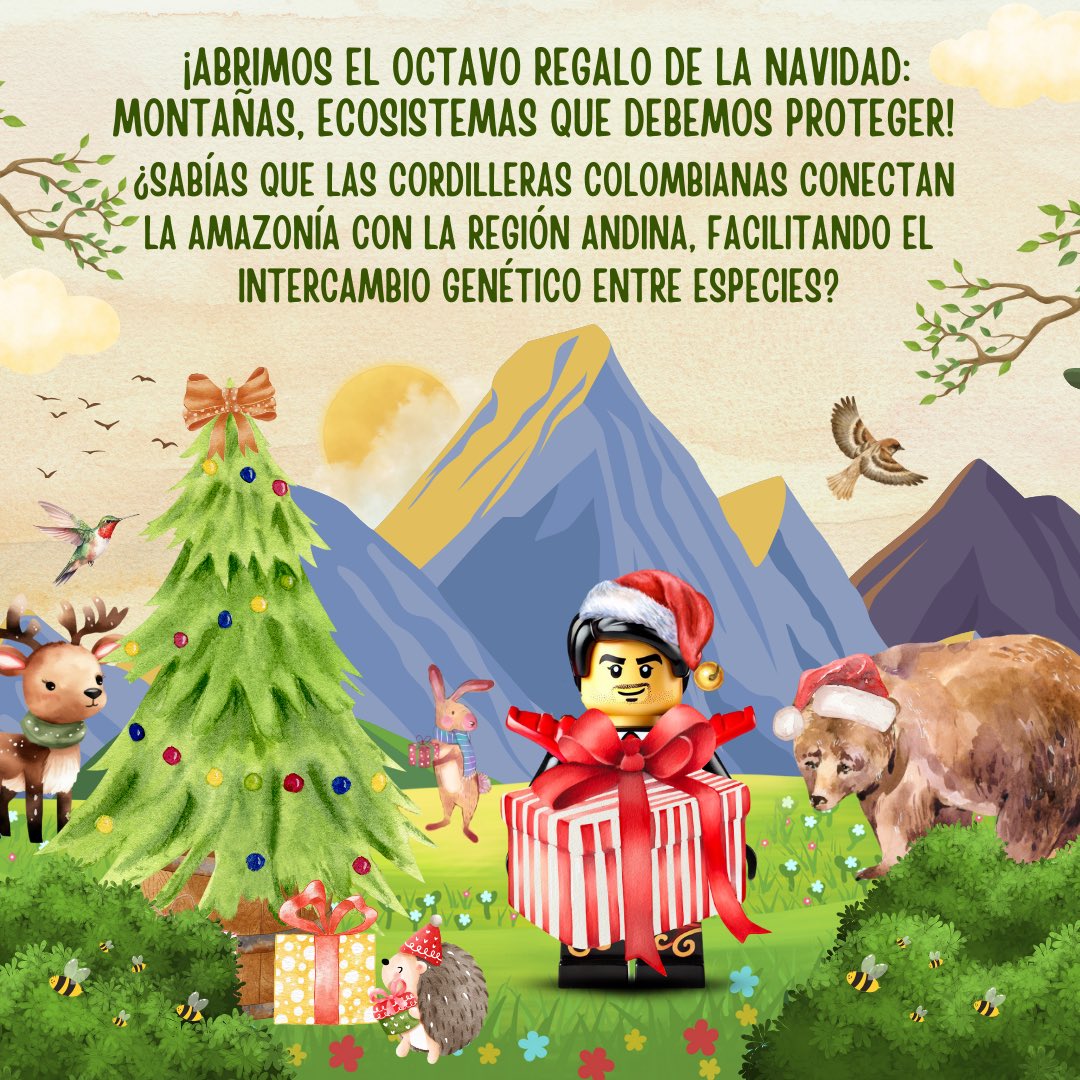 ¡Abrimos el octavo regalo de la Navidad: Montañas, puentes de vida y energía! ⛰️