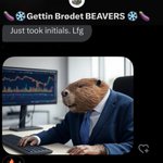 Photo by Bear Market Beavers (@BMBeavers)