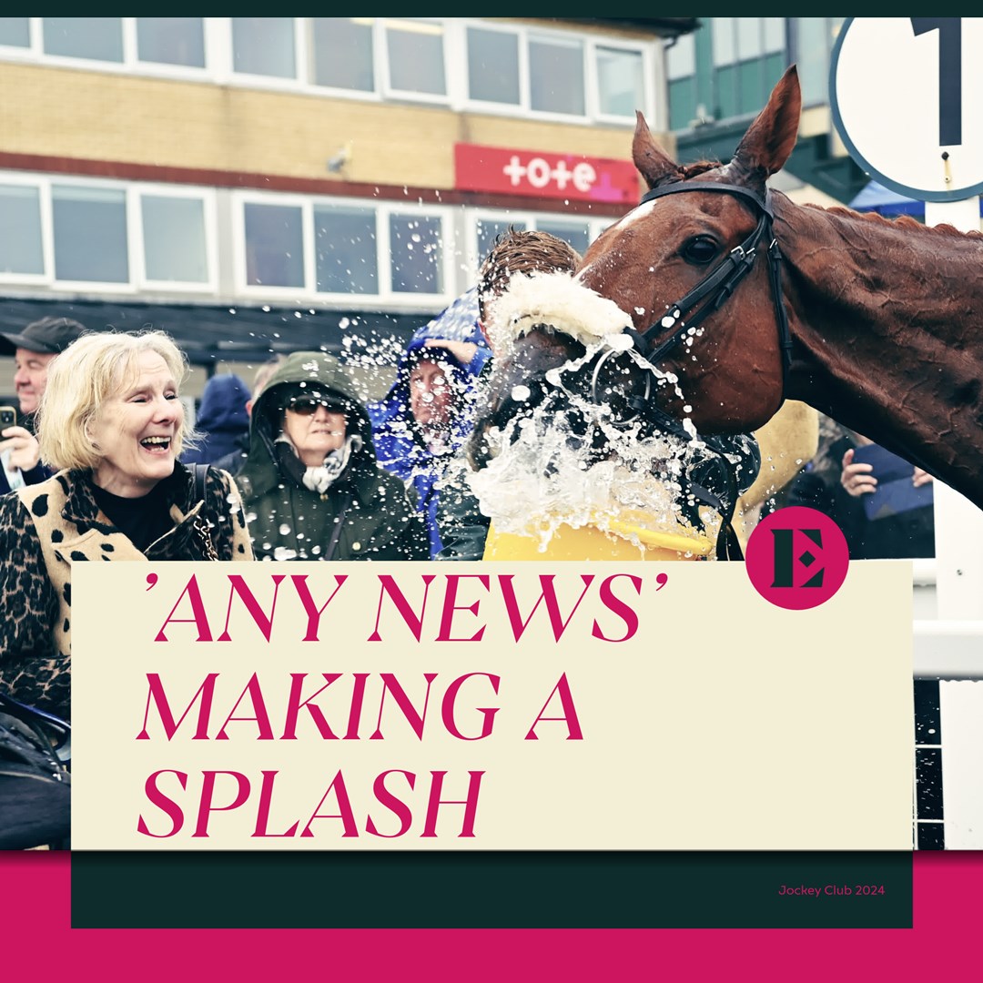 ExeterRaces's tweet photo. ๐ฅ๐ Weโre making a splash with some exciting news! ๐๐ฅ
On arrival to our New Years Day meet, enjoy some amazing tunes with live music from Alex Dobson to set the perfect vibe for the day! ๐ถ๐
#NewYearsDayMeet #ExcitingNews #LiveMusic #ExeterRaces https://t.co/pYZuJ5TgsL