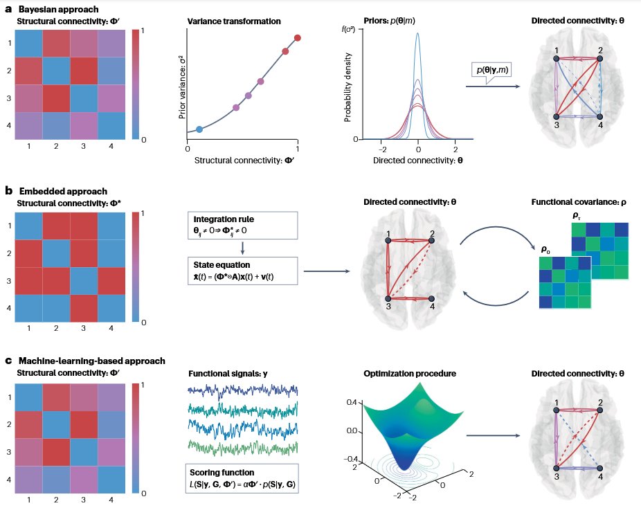 Adeel Razi (@adeelrazi) on Twitter photo Just published🔈
"Structurally informed models of directed brain connectivity"
Read: rdcu.be/d3dC4
We review how structural connectivity constrains directed connectivity models 🧠
Lead by <a href="/matthewdgreaves/">Matthew Greaves</a> w/ <a href="/novelli_leo/">Leonardo Novelli</a>, <a href="/Sina_Mansour_L/">Sina Mansour L.</a> and <a href="/AndrewZalesky/">Andrew Zalesky</a> Just published🔈
"Structurally informed models of directed brain connectivity"
Read: rdcu.be/d3dC4
We review how structural connectivity constrains directed connectivity models 🧠
Lead by <a href="/matthewdgreaves/">Matthew Greaves</a> w/ <a href="/novelli_leo/">Leonardo Novelli</a>, <a href="/Sina_Mansour_L/">Sina Mansour L.</a> and <a href="/AndrewZalesky/">Andrew Zalesky</a>