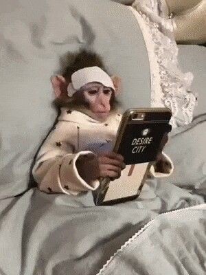 lilosmoke's tweet photo. yo creyendo que era pq no he pagado el Internet y no, simplemente WhatsApp murió. https://t.co/31kJEgUPjc