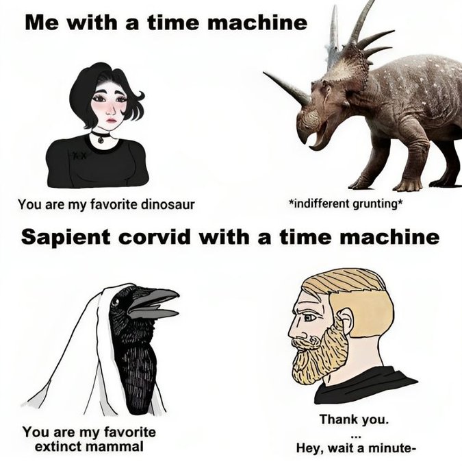 GeiVY2GWAAAJLNs