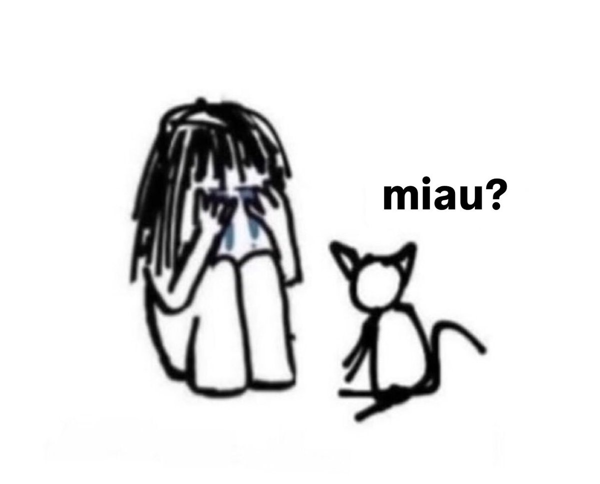 gatos fazendo gatices (@gatinarios) on Twitter photo 