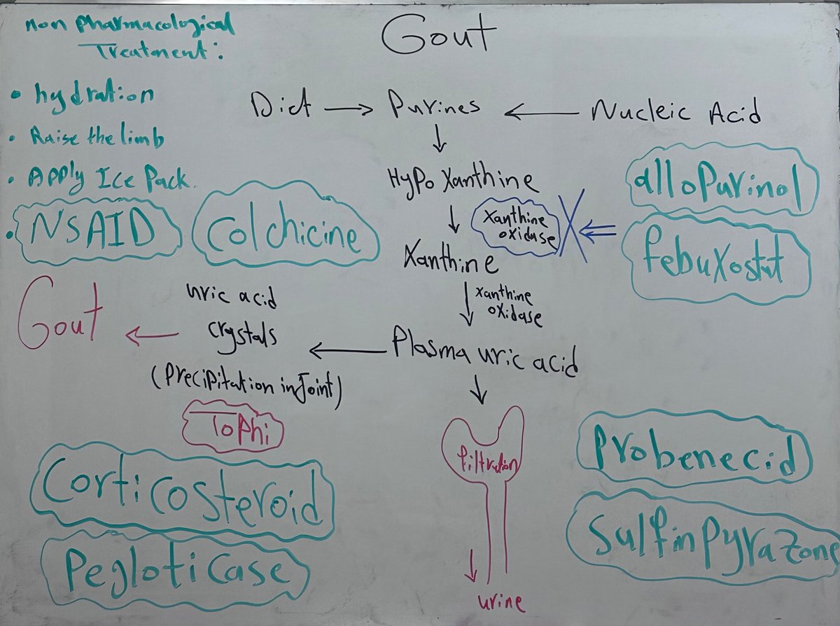 sarh9ad's tweet photo. 📌 Gout : is a metabolic disorder resulting from precipitation of uric acid crystals in joints 

(Intermittent attacks of acute pain , swelling,and inflammation of the joints) https://t.co/fHrFNeP1sW