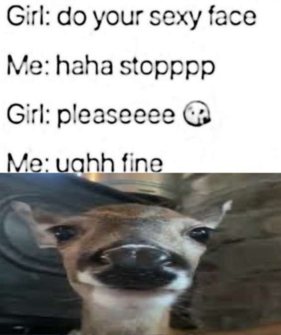 deershouldnt's tweet image. 