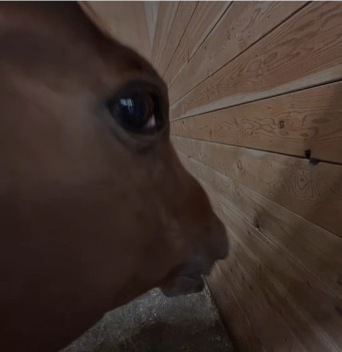 facebook down again.. #facebookdown