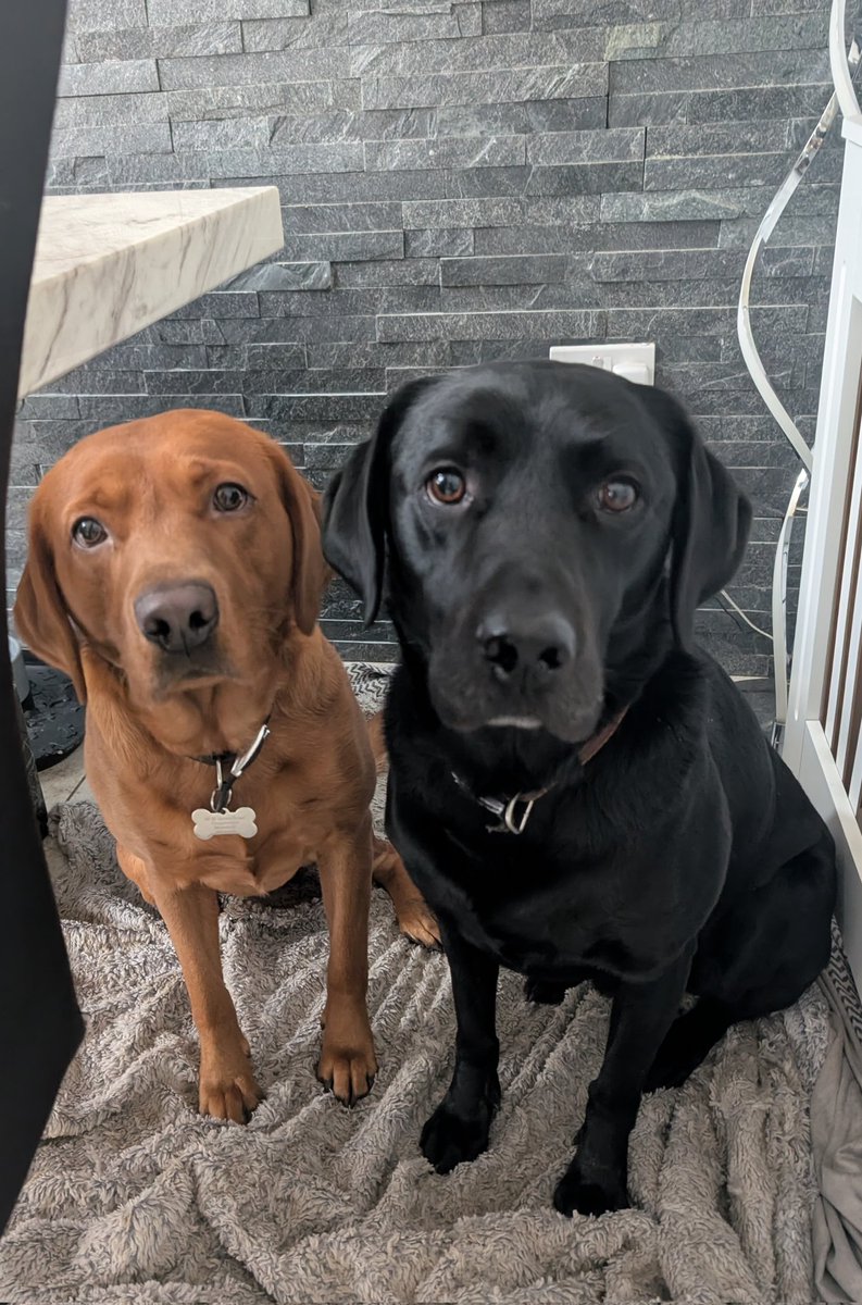 Rebecca Barham tweet media