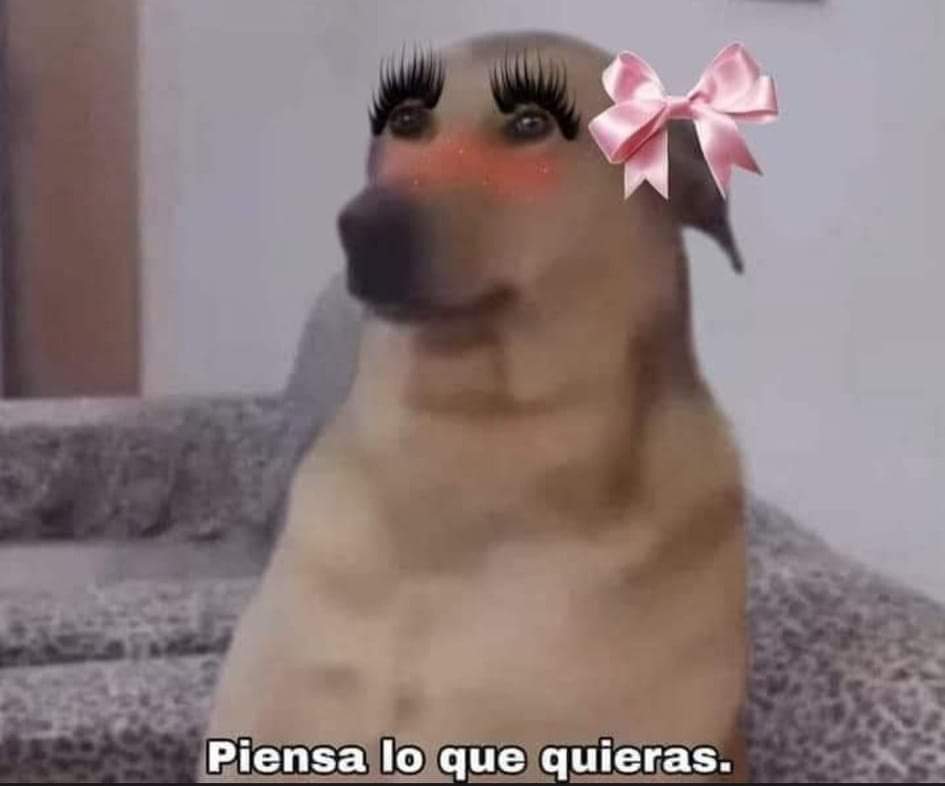 Bandiee's tweet photo. Cayó WhatsApp por eso no te respondía hace 3 días https://t.co/nn6l1a7M1t