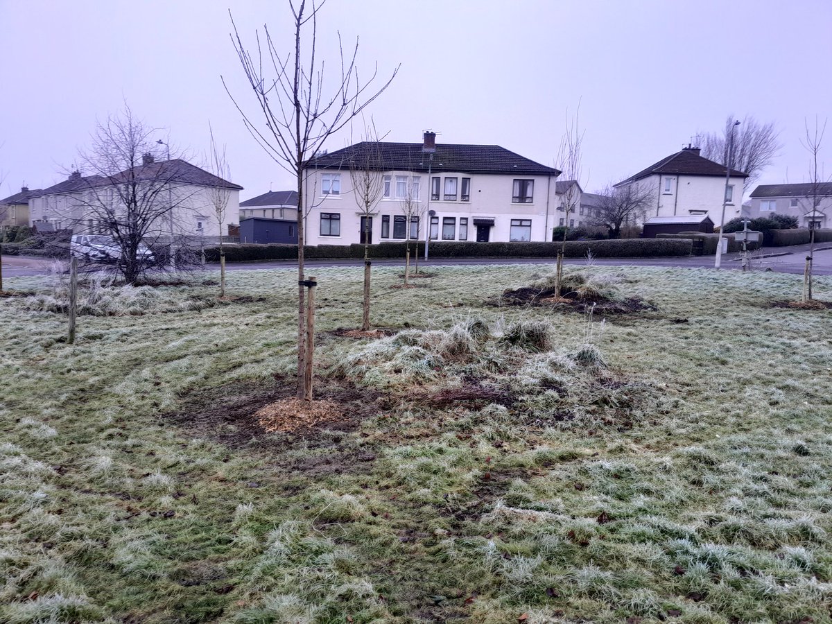 Well done to <a href="/GlasgowCC/">Glasgow City Council</a> for planting these trees at Morningside St round about. They will enhance the area as they mature.
<a href="/AChristieSNP/">Cllr AnnetteChristie</a> <a href="/_KieranJTurner/">Kieran Turner</a> 
<a href="/MaureenBurkeMP/">Maureen Burke 🌹</a>