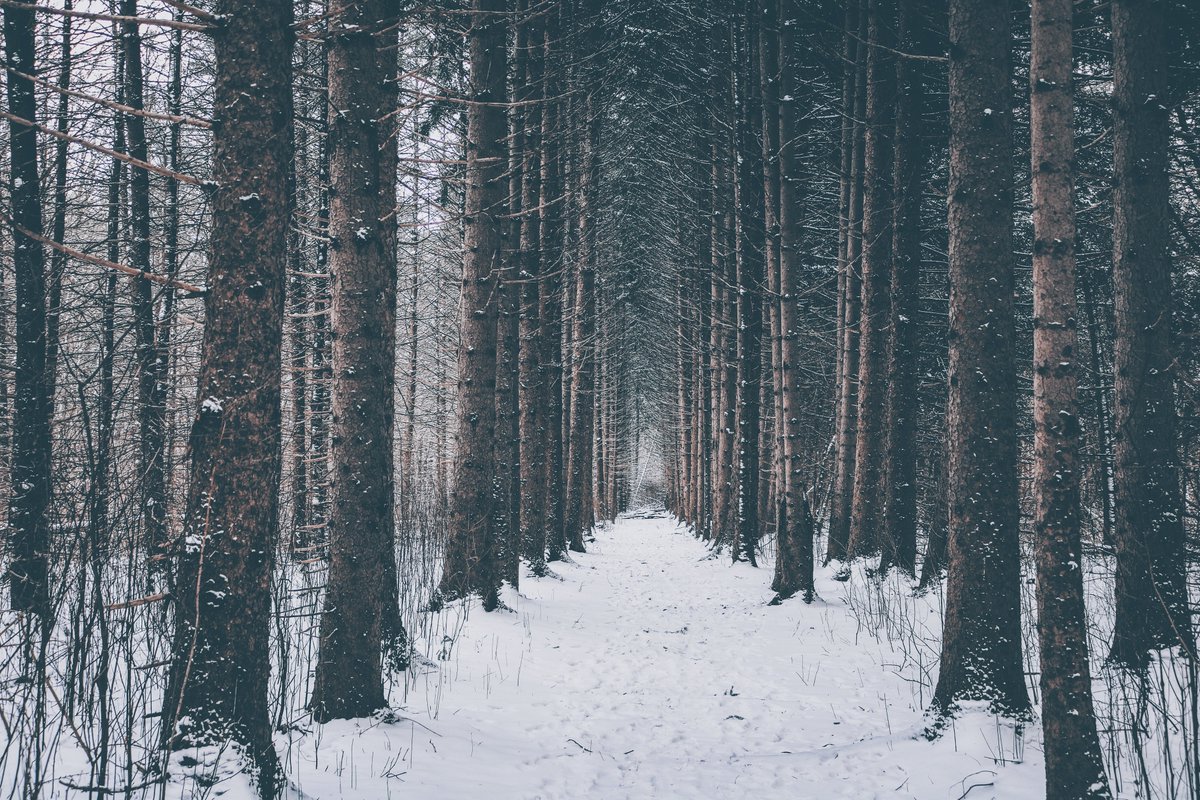 depth pulls softly. . .