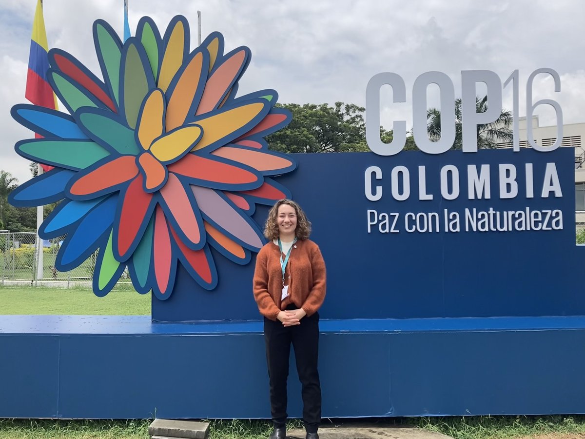 DSE - Schmidt Data Science & Environment, Berkeley tweet media