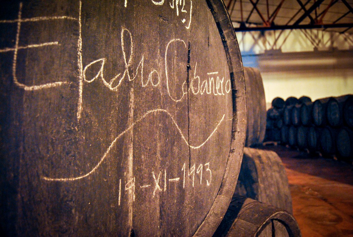 VisitaTomelloso's tweet photo. Vive una experiencia única en nuestras bodegas.  Admira los antiguos barriles de madera, siente la historia que desprenden y disfruta de una cata de nuestros vinos más selectos. ¡Un viaje en el tiempo para tus sentidos! https://t.co/wHisjHNYvu